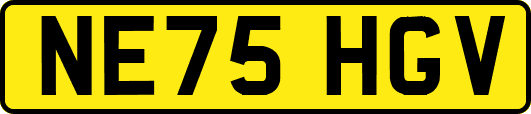 NE75HGV