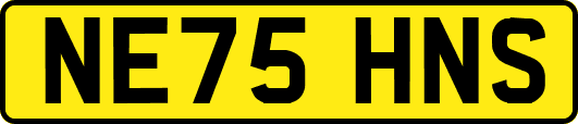 NE75HNS