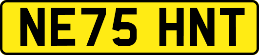 NE75HNT