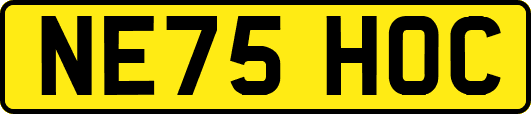 NE75HOC