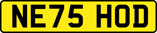 NE75HOD