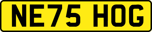 NE75HOG