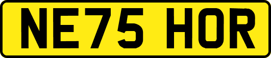 NE75HOR