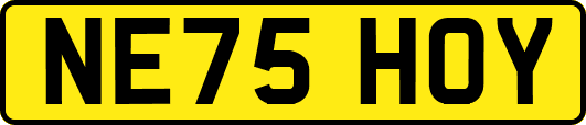NE75HOY