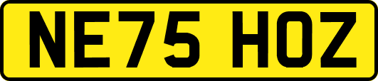 NE75HOZ
