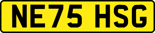 NE75HSG