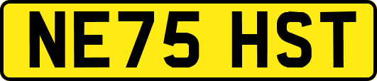 NE75HST