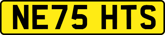 NE75HTS