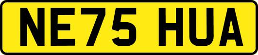 NE75HUA