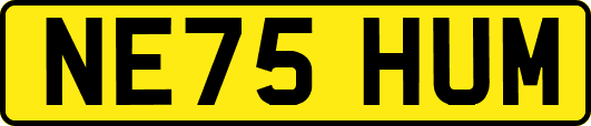 NE75HUM