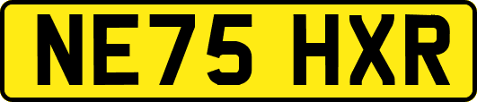NE75HXR
