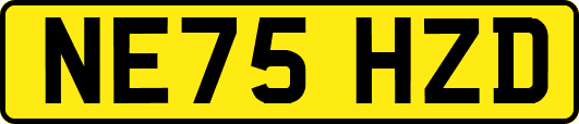 NE75HZD