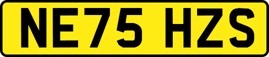 NE75HZS