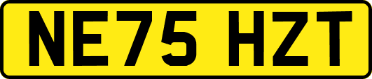 NE75HZT