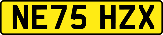 NE75HZX