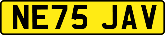 NE75JAV
