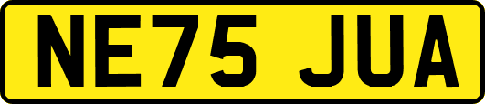NE75JUA