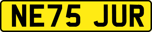 NE75JUR