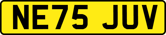 NE75JUV