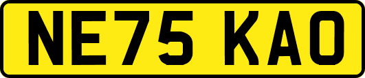 NE75KAO