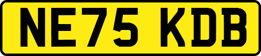 NE75KDB