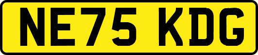 NE75KDG