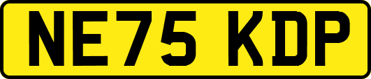 NE75KDP