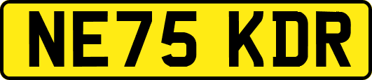 NE75KDR