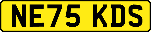 NE75KDS