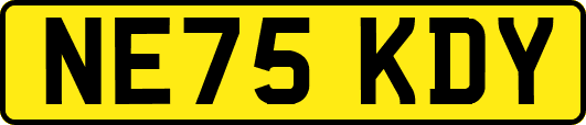 NE75KDY