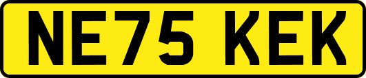 NE75KEK