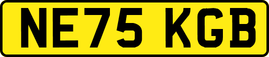 NE75KGB