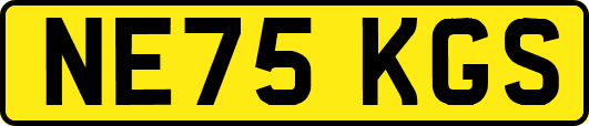 NE75KGS