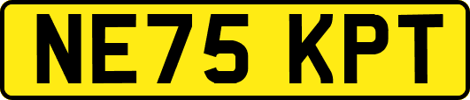 NE75KPT