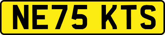 NE75KTS