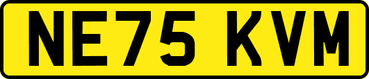 NE75KVM