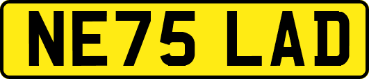 NE75LAD