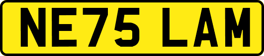 NE75LAM