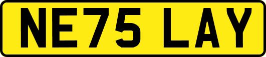 NE75LAY
