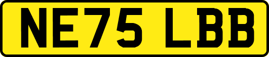 NE75LBB
