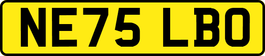 NE75LBO