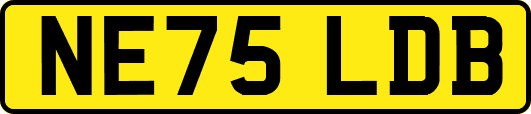 NE75LDB