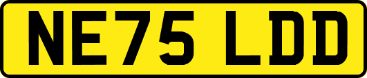 NE75LDD