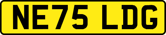 NE75LDG