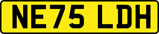 NE75LDH
