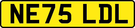 NE75LDL