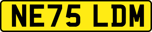 NE75LDM