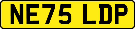 NE75LDP