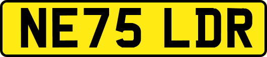 NE75LDR