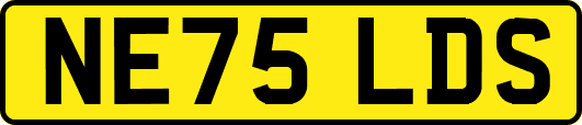 NE75LDS
